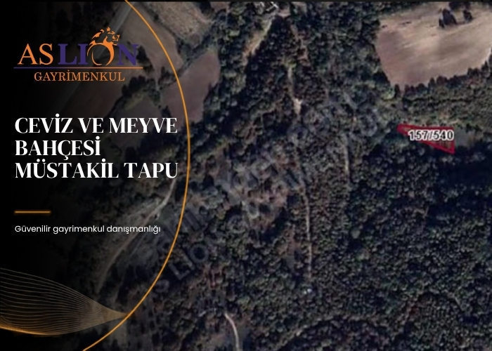 CEVİZ ve MEYVE BAHÇESİ MüSTAKİL TAPU